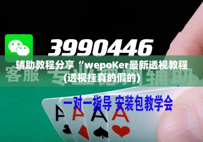 辅助教程分享“wepoKer最新透视教程(透视挂真的假的) 辅助教程分享“wepoKer最新透视教程(透视挂真的假的)