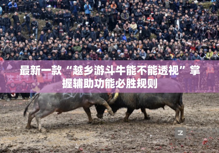 最新一款“越乡游斗牛能不能透视	”掌握辅助功能必胜规则