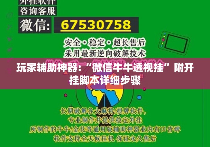 玩家辅助神器:“微信牛牛透视挂	”附开挂脚本详细步骤