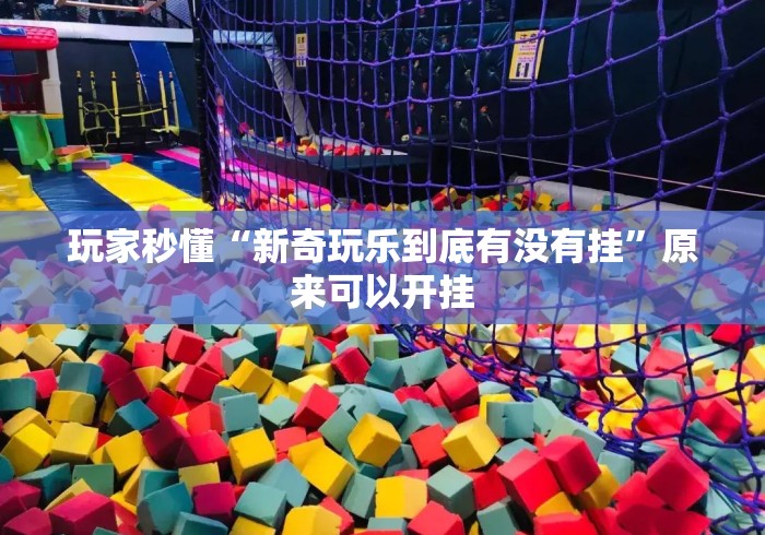 玩家秒懂“新奇玩乐到底有没有挂”原来可以开挂