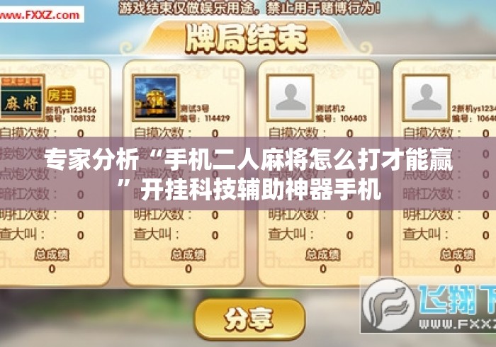 专家分析“手机二人麻将怎么打才能赢”开挂科技辅助神器手机