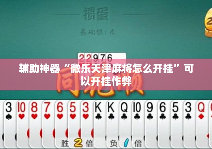 辅助神器“微乐天津麻将怎么开挂	”可以开挂作弊