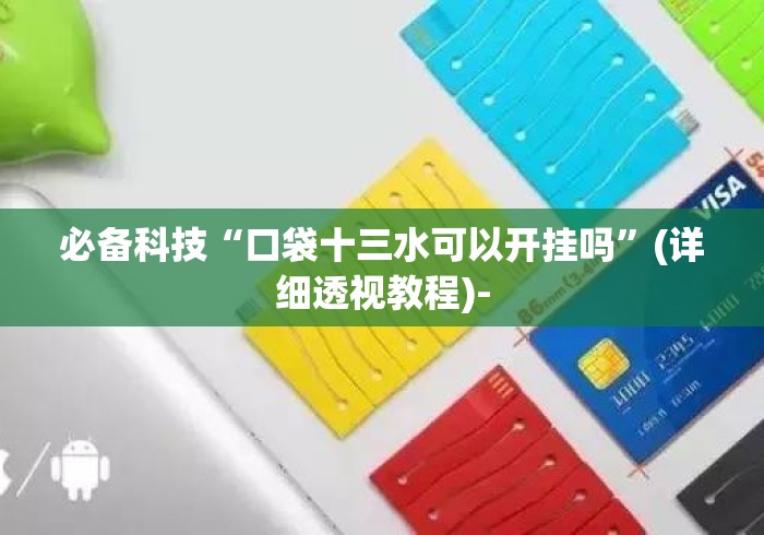 必备科技“口袋十三水可以开挂吗”(详细透视教程)-