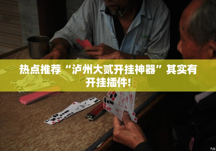 热点推荐“泸州大贰开挂神器”其实有开挂插件!