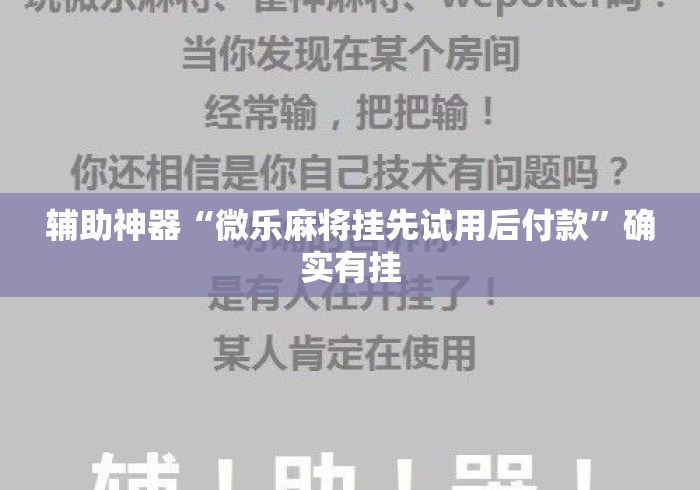 辅助神器“微乐麻将挂先试用后付款	”确实有挂