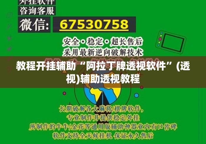 教程开挂辅助“阿拉丁牌透视软件	”(透视)辅助透视教程