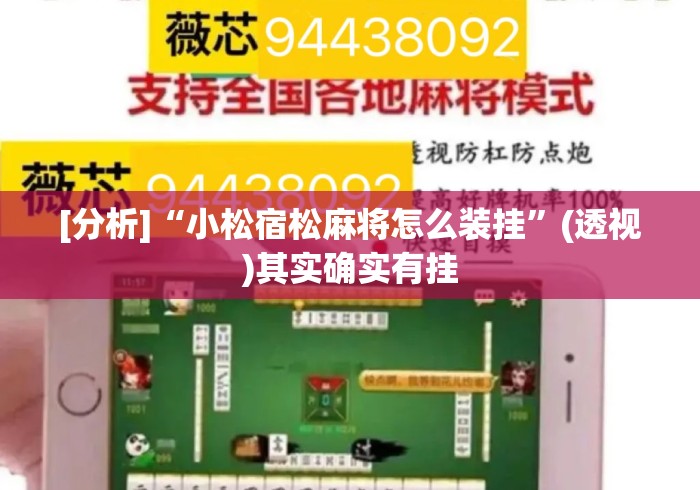 [分析]“小松宿松麻将怎么装挂	”(透视)其实确实有挂