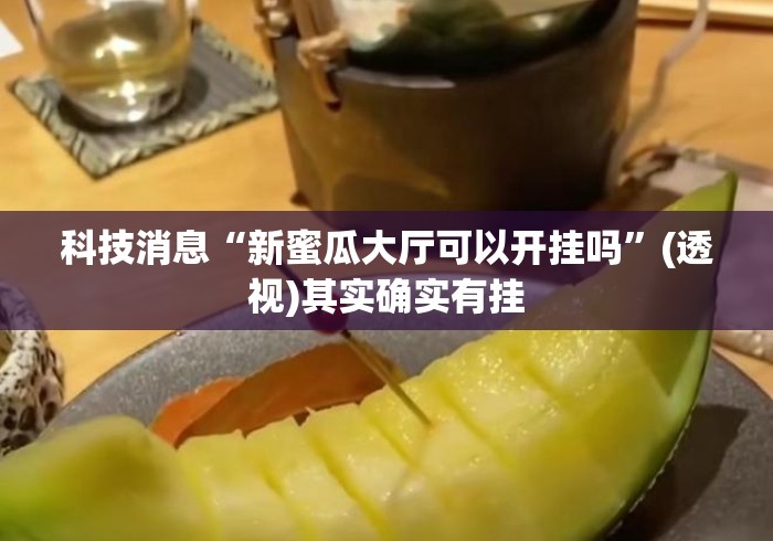 科技消息“新蜜瓜大厅可以开挂吗”(透视)其实确实有挂