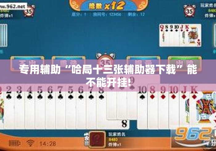 专用辅助“哈局十三张辅助器下载”能不能开挂!