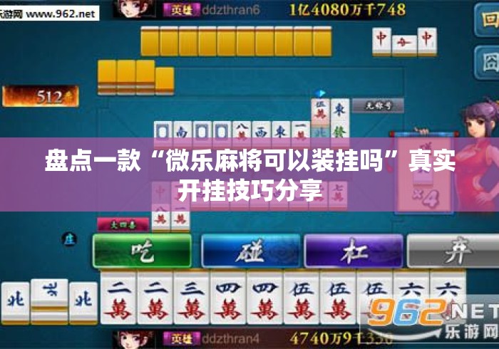 盘点一款“微乐麻将可以装挂吗”真实开挂技巧分享