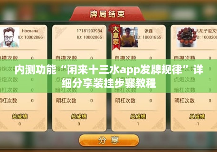 内测功能“闲来十三水app发牌规律”详细分享装挂步骤教程