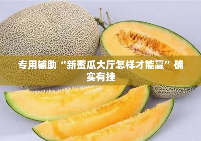 专用辅助“新蜜瓜大厅怎样才能赢”确实有挂