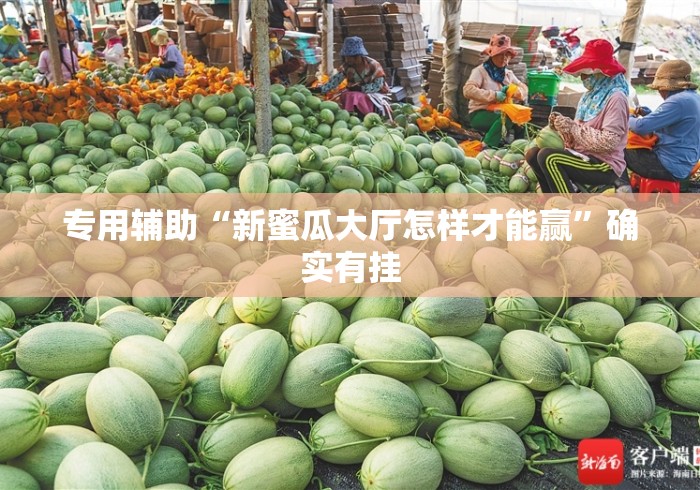 专用辅助“新蜜瓜大厅怎样才能赢	”确实有挂