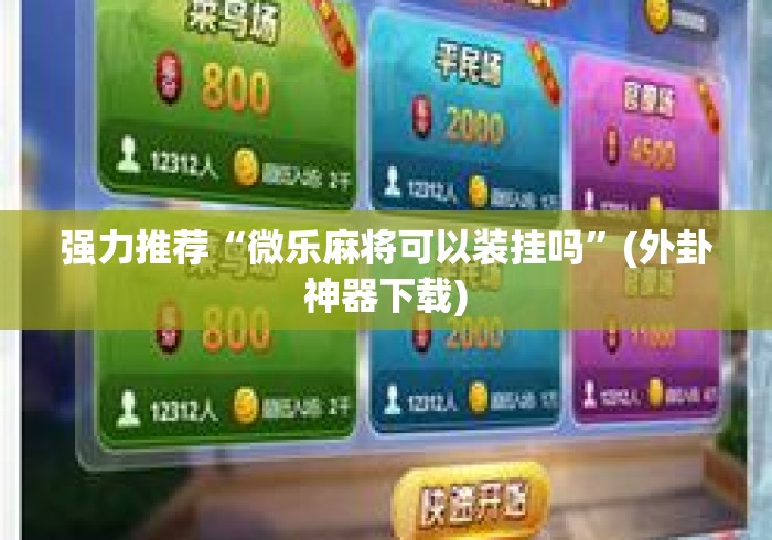 强力推荐“微乐麻将可以装挂吗	”(外卦神器下载)