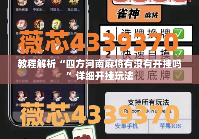 教程解析“四方河南麻将有没有开挂吗”详细开挂玩法