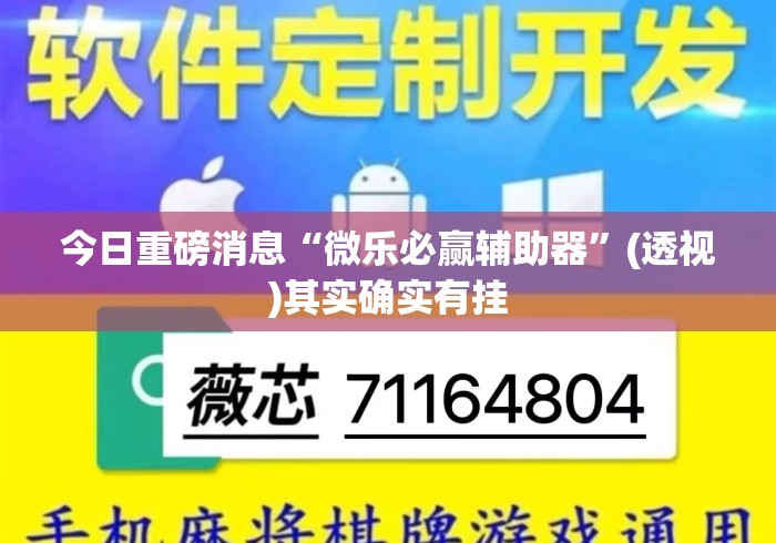 今日重磅消息“微乐必赢辅助器”(透视)其实确实有挂