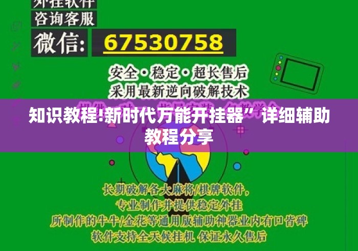 知识教程!新时代万能开挂器”详细辅助教程分享