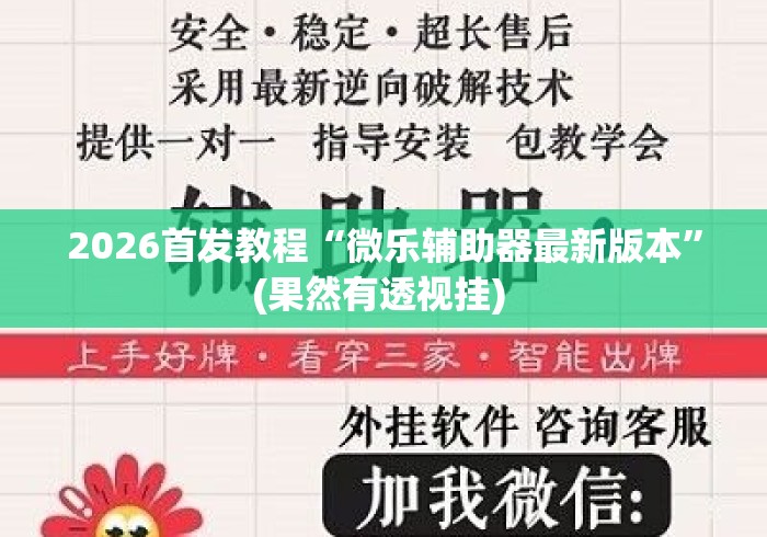 2026首发教程“微乐辅助器最新版本”(果然有透视挂) 