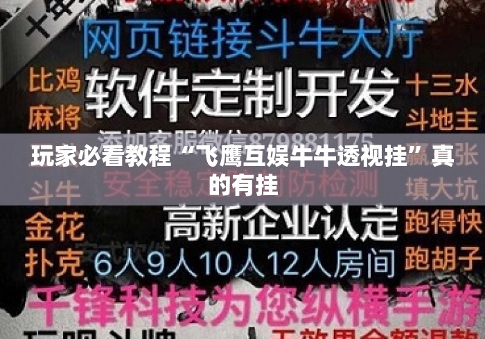 玩家必看教程“飞鹰互娱牛牛透视挂”真的有挂