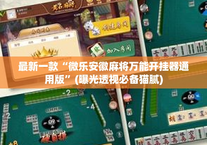 最新一款“微乐安徽麻将万能开挂器通用版”(曝光透视必备猫腻)