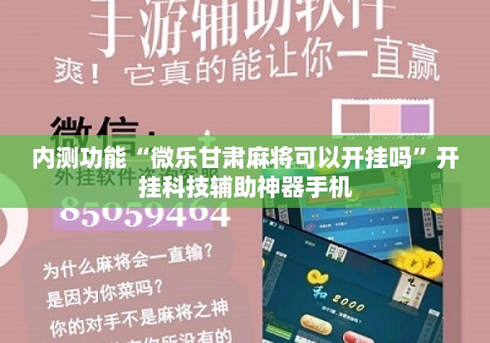 内测功能“微乐甘肃麻将可以开挂吗”开挂科技辅助神器手机