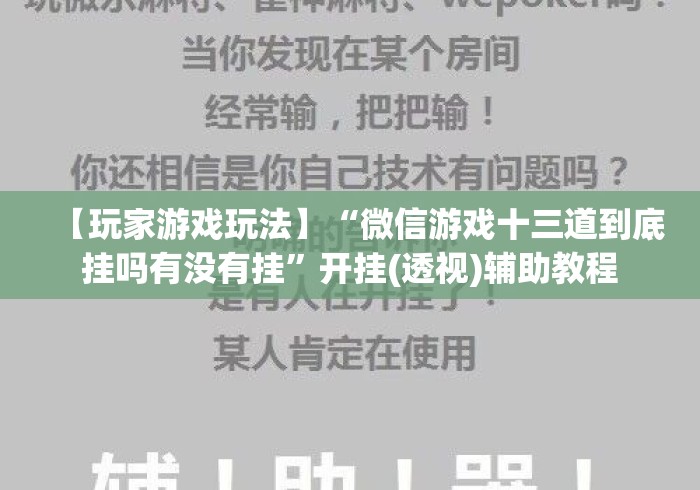 【玩家游戏玩法】“微信游戏十三道到底挂吗有没有挂”开挂(透视)辅助教程