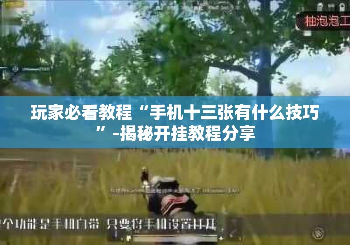 玩家必看教程“手机十三张有什么技巧”-揭秘开挂教程分享