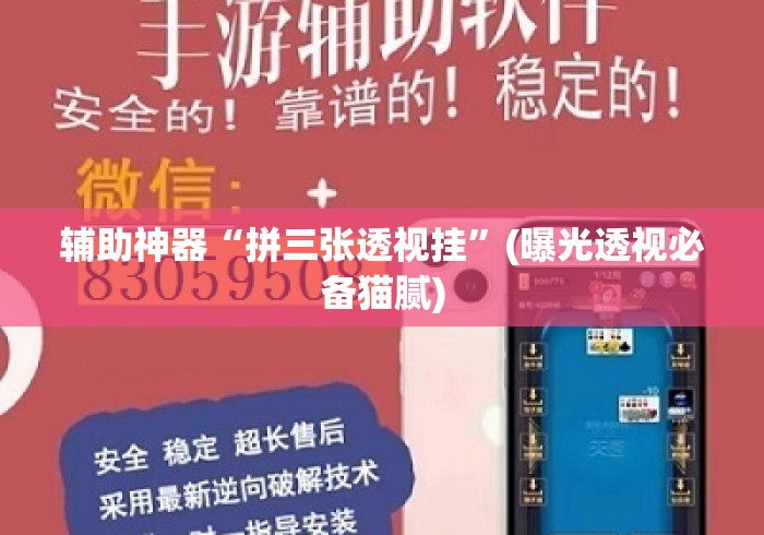 辅助神器“拼三张透视挂”(曝光透视必备猫腻)