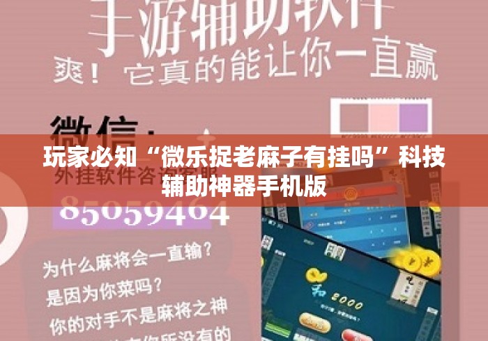 玩家必知“微乐捉老麻子有挂吗	”科技辅助神器手机版