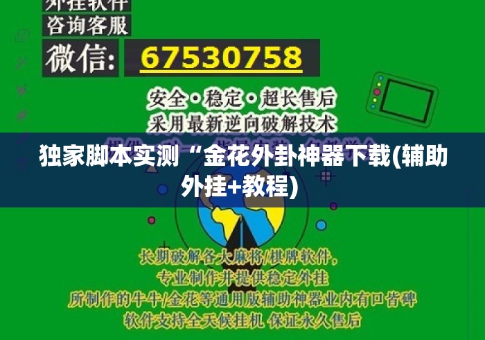 独家脚本实测“金花外卦神器下载(辅助外挂+教程) 