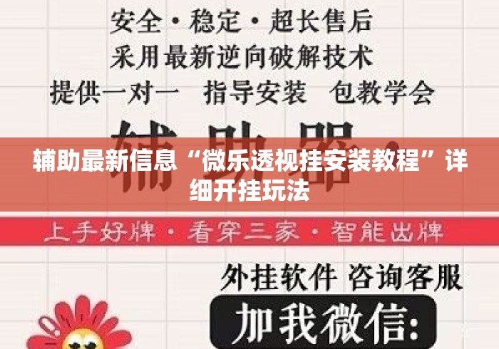 辅助最新信息“微乐透视挂安装教程”详细开挂玩法