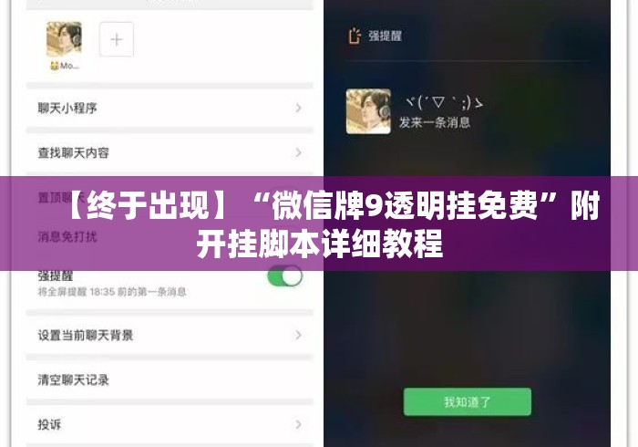 【终于出现】“微信牌9透明挂免费”附开挂脚本详细教程