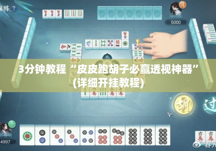 3分钟教程“皮皮跑胡子必赢透视神器”(详细开挂教程)