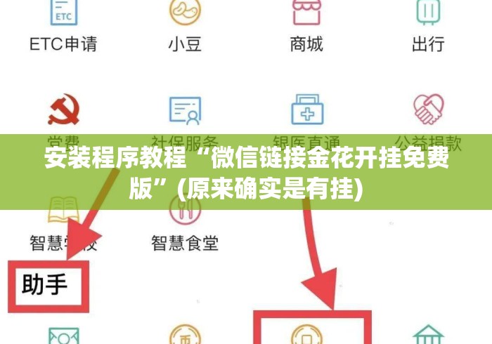 安装程序教程“微信链接金花开挂免费版”(原来确实是有挂)