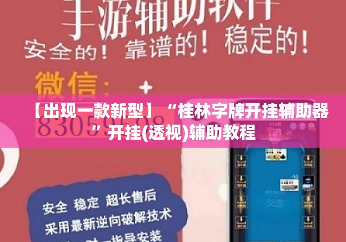 【出现一款新型】“桂林字牌开挂辅助器”开挂(透视)辅助教程