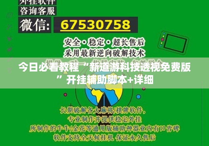 今日必看教程“新道游科技透视免费版”开挂辅助脚本+详细