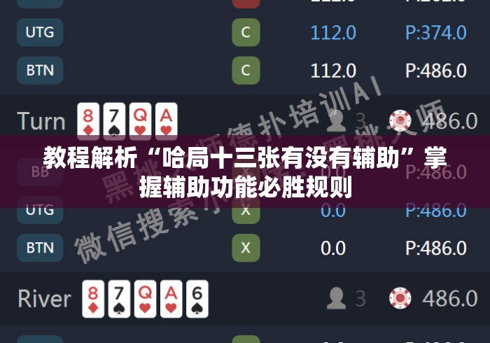 教程解析“哈局十三张有没有辅助”掌握辅助功能必胜规则