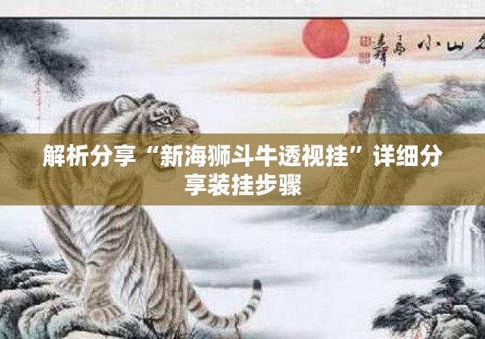 解析分享“新海狮斗牛透视挂”详细分享装挂步骤