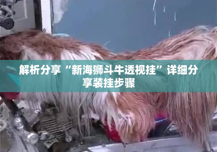 解析分享“新海狮斗牛透视挂	”详细分享装挂步骤