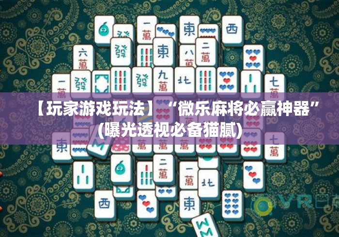 【玩家游戏玩法】“微乐麻将必赢神器	”(曝光透视必备猫腻)