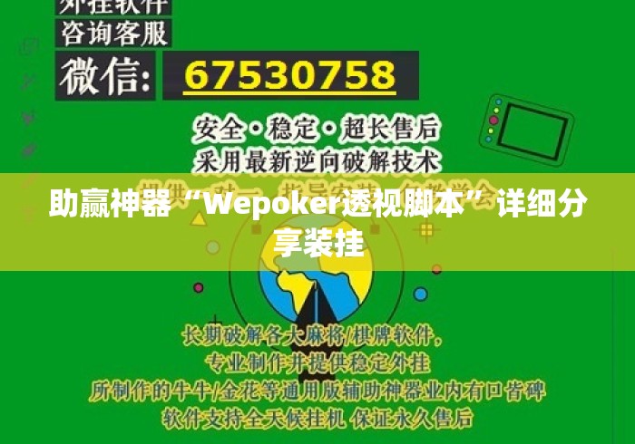 助赢神器“Wepoker透视脚本”详细分享装挂