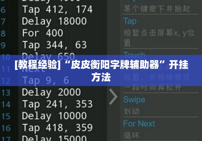 [教程经验]“皮皮衡阳字牌辅助器”开挂方法