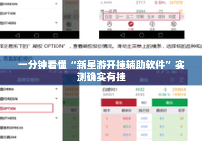 一分钟看懂“新星游开挂辅助软件”实测确实有挂