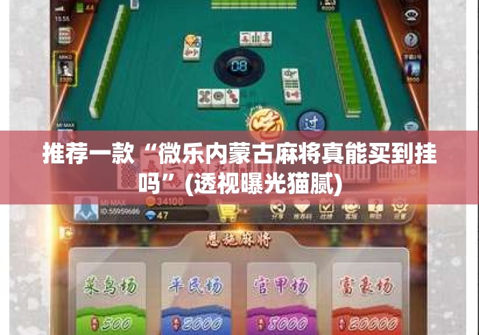 推荐一款“微乐内蒙古麻将真能买到挂吗	”(透视曝光猫腻)