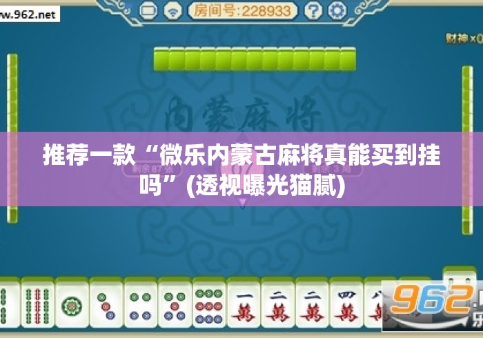 推荐一款“微乐内蒙古麻将真能买到挂吗”(透视曝光猫腻)