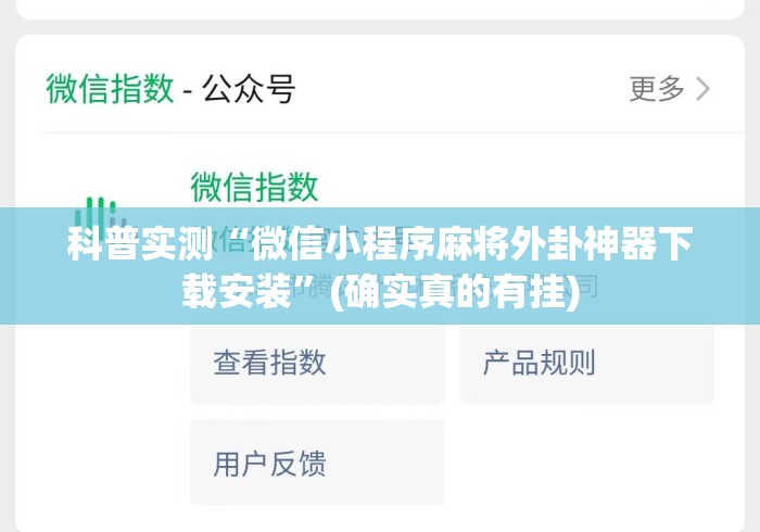 科普实测“微信小程序麻将外卦神器下载安装	”(确实真的有挂)