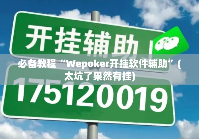 必备教程“Wepoker开挂软件辅助”(太坑了果然有挂)