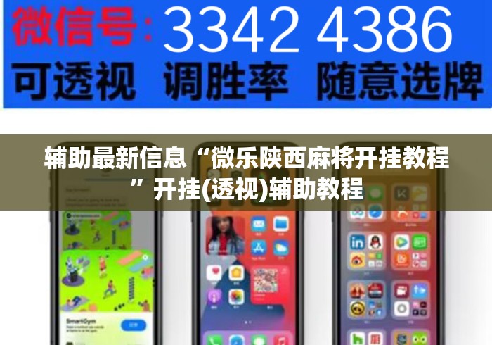 辅助最新信息“微乐陕西麻将开挂教程”开挂(透视)辅助教程