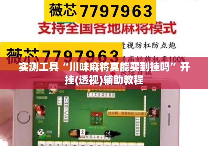 实测工具“川味麻将真能买到挂吗”开挂(透视)辅助教程
