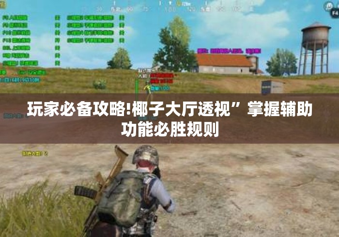 玩家必备攻略!椰子大厅透视	”掌握辅助功能必胜规则
